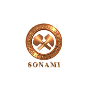 SONAMI